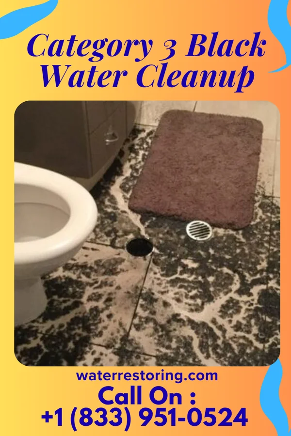 Category 3 Black Water Cleanup in Dacusville, SC