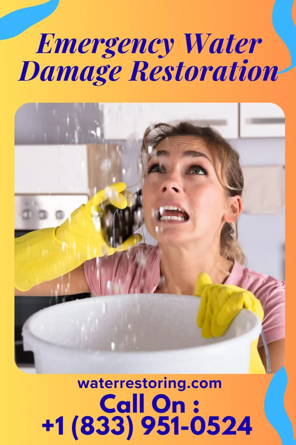 Emergency Water Damage Restoration in Dacusville, SC